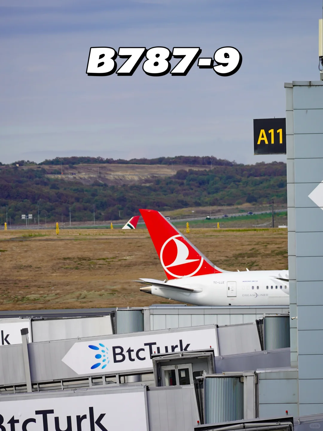 世界主流飞机的「屁股」，都长啥样❓