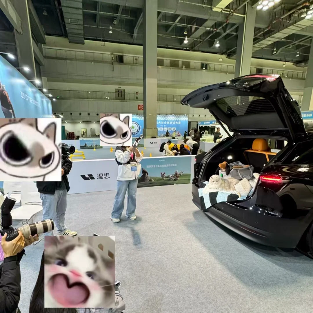 重庆宠物展薅羊毛攻略