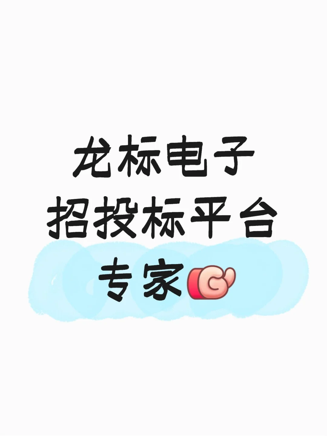 龙标电子招投标平台专家，代理公司平台