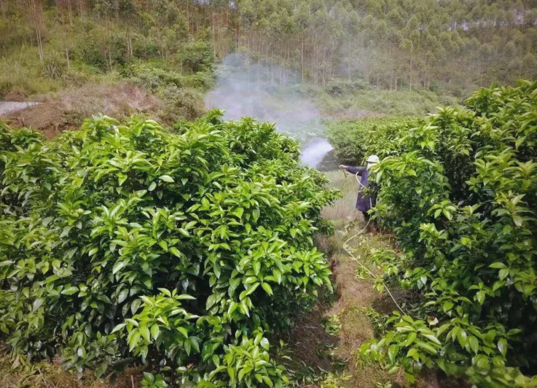 智慧水肥一体化控制系统