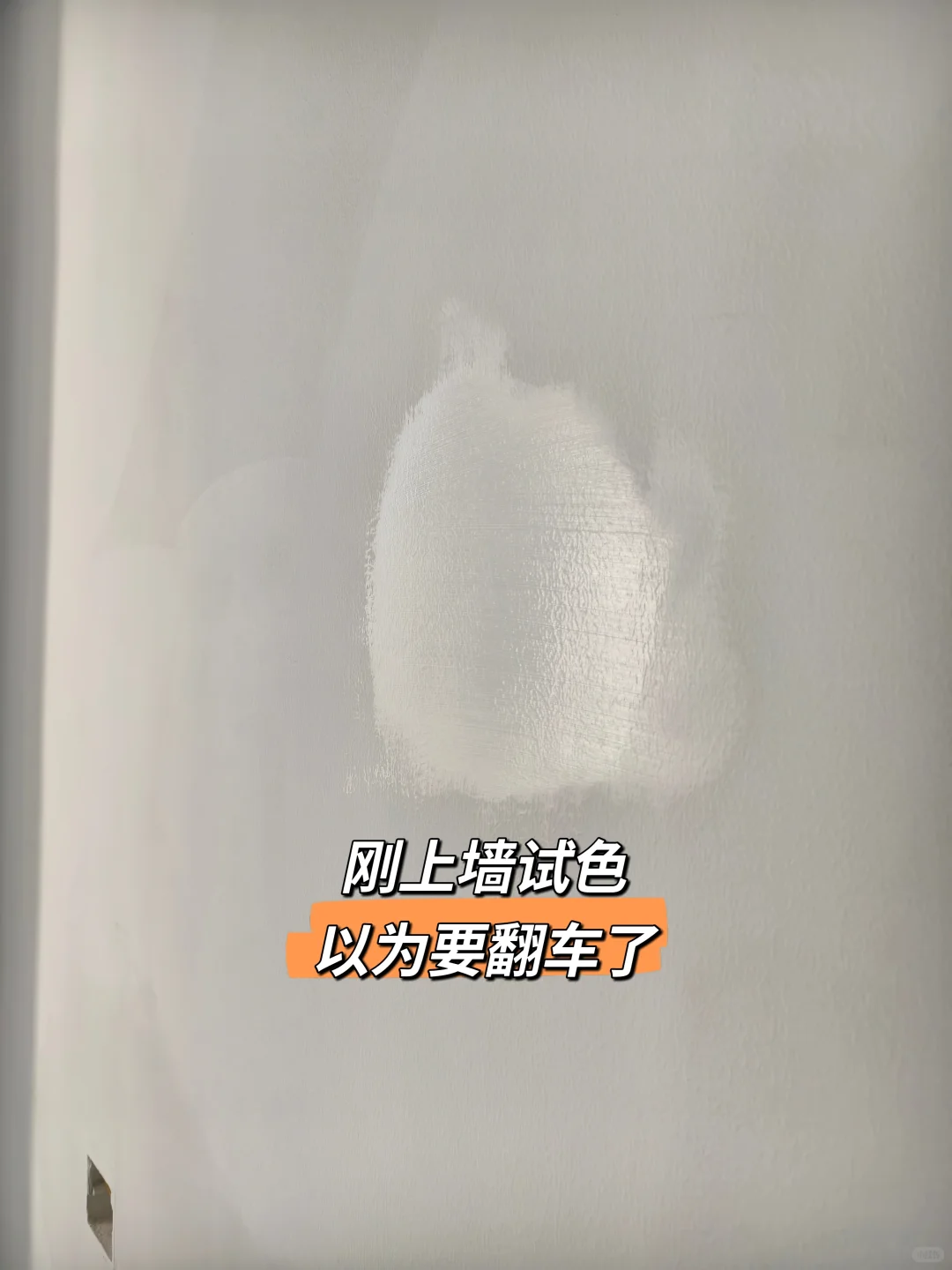 珍珠白太绝了，都去冲！！