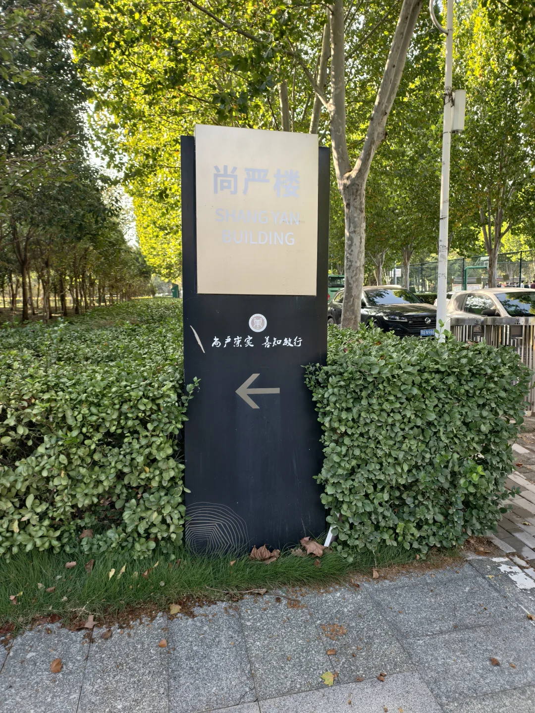 河南牧业的友友们寻宝了