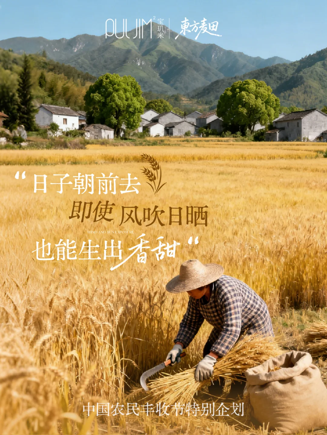 秋分|庆祝中国农民丰收节