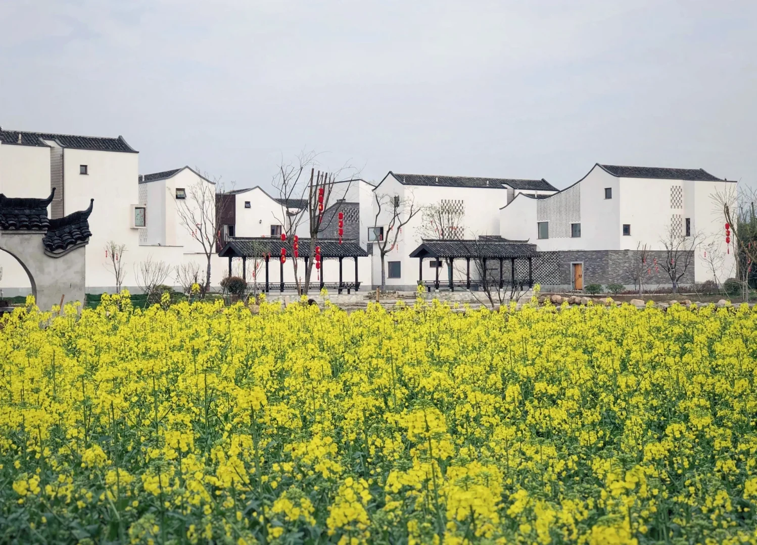 gad把吴冠中的画改造成最美回迁房：东梓关村