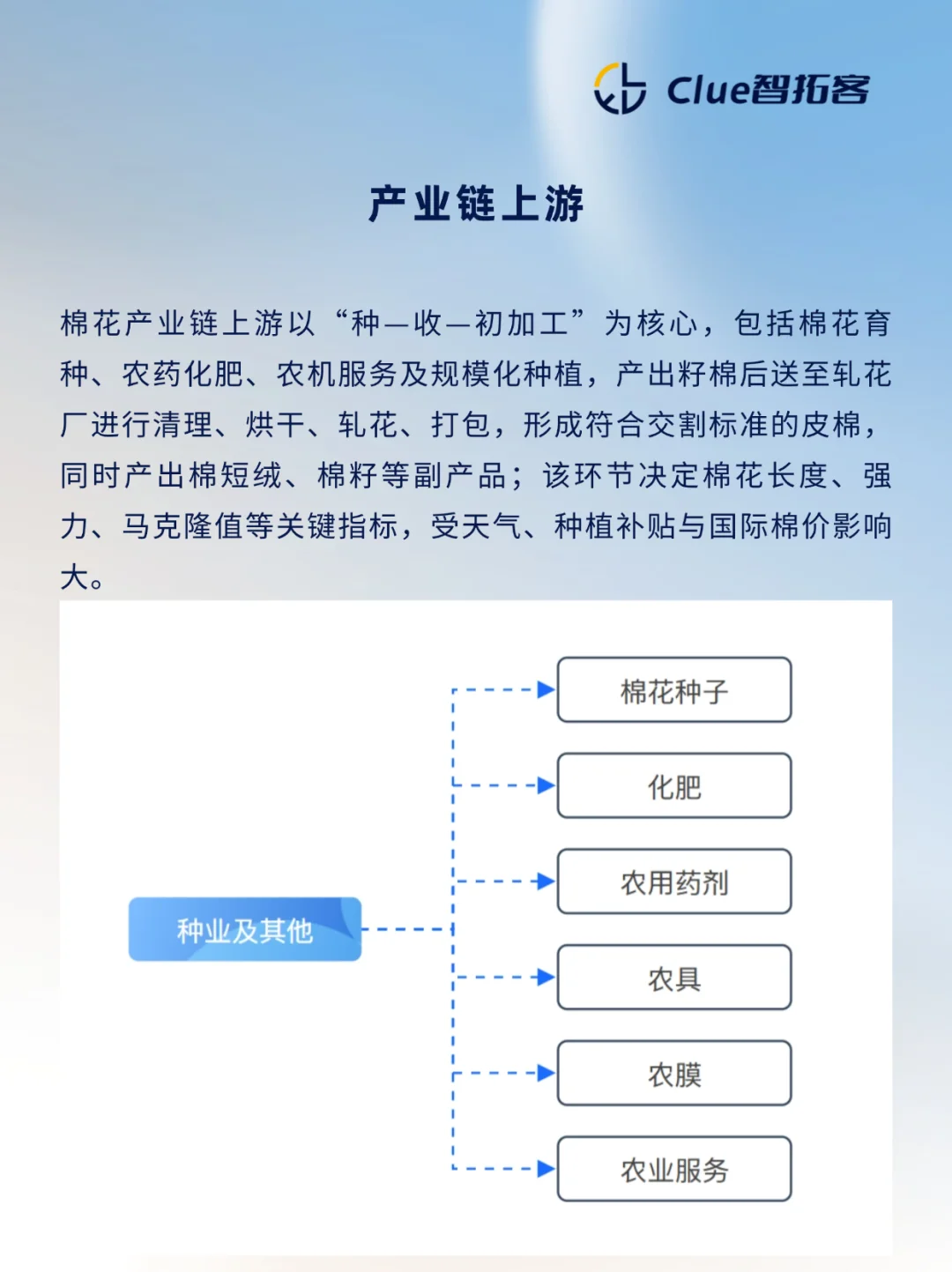 一天吃透一条产业链:棉花