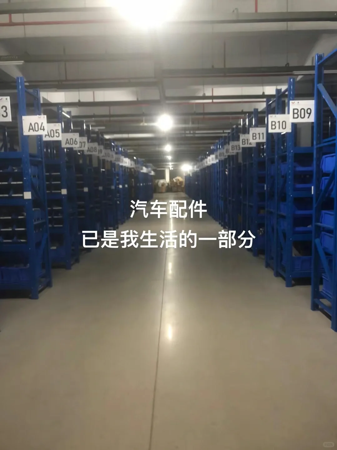 专业卖汽车配件