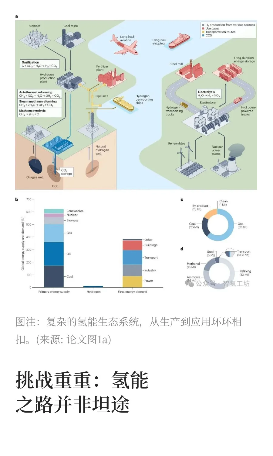 Nature揭秘：氢能转型，哪些是“真潜力”