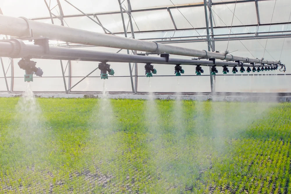 ?农作物灌溉秘籍:选对方式,作物更茁壮!