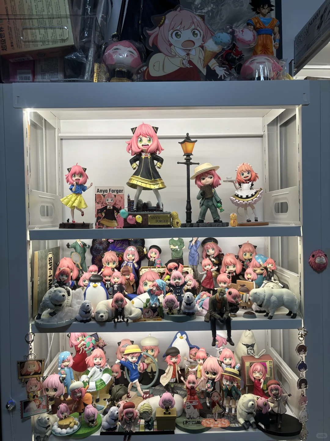 最近初步入手阿尼亚GK，顺便展示所有阿尼亚