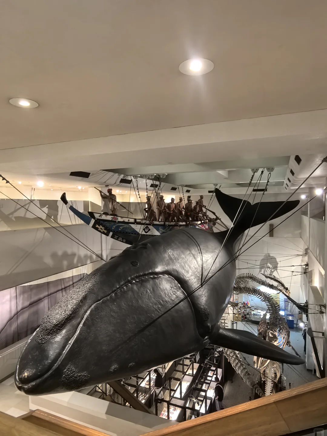 日本关西地区纪伊半岛和歌山太地町，海豚湾