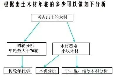 考古科普丨木材考古学