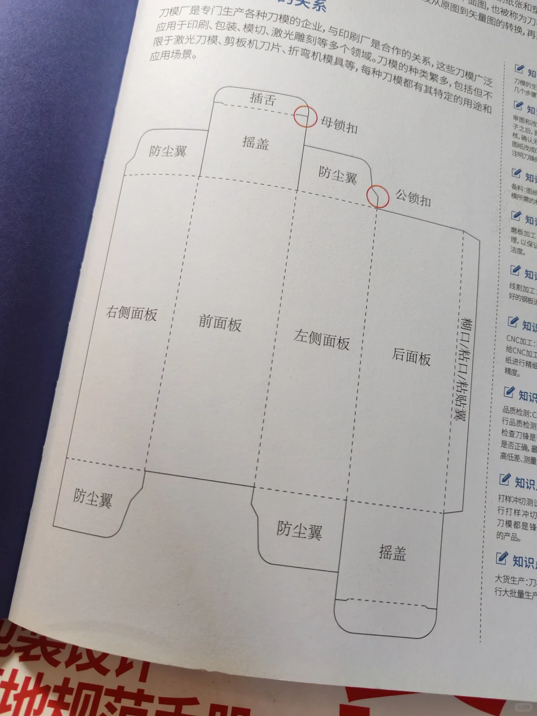 不懂包装结构？认识刀版图部件名称！