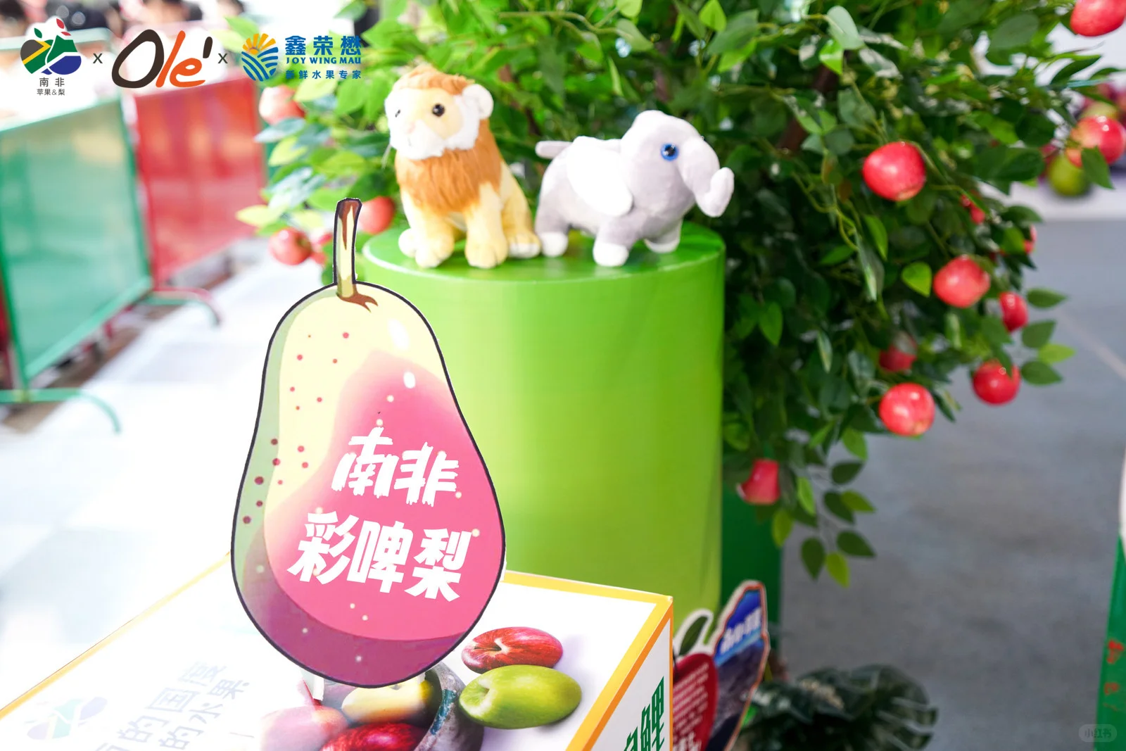 北京OLe合生汇南非水果推介会