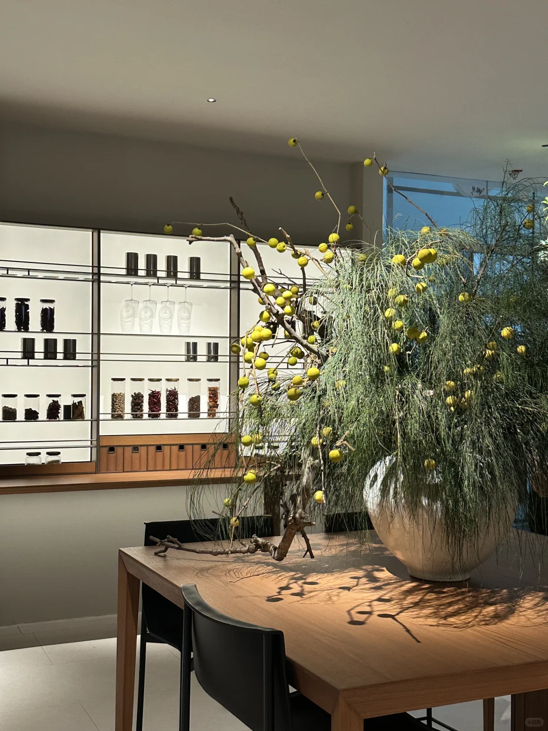 2025建材展的绿植选美大赛?，冠军是...