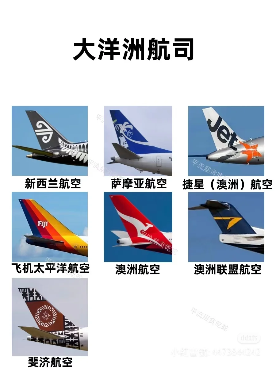 你认识这些吗？