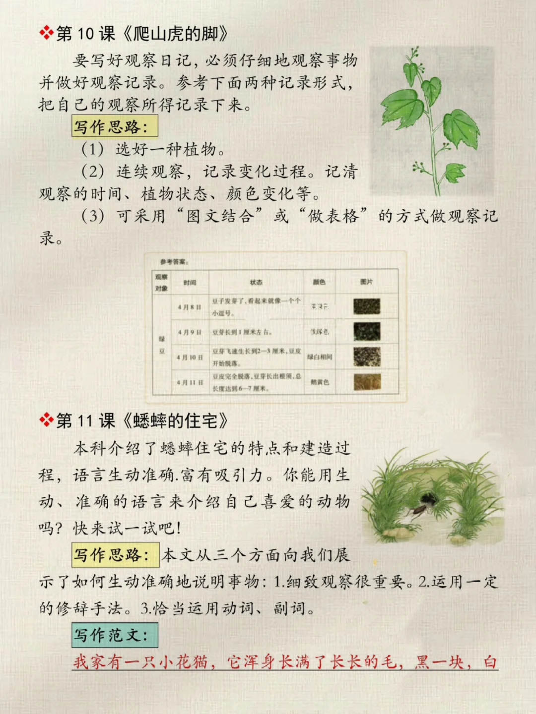 四年级语文上册1-8单元仿写小练笔?