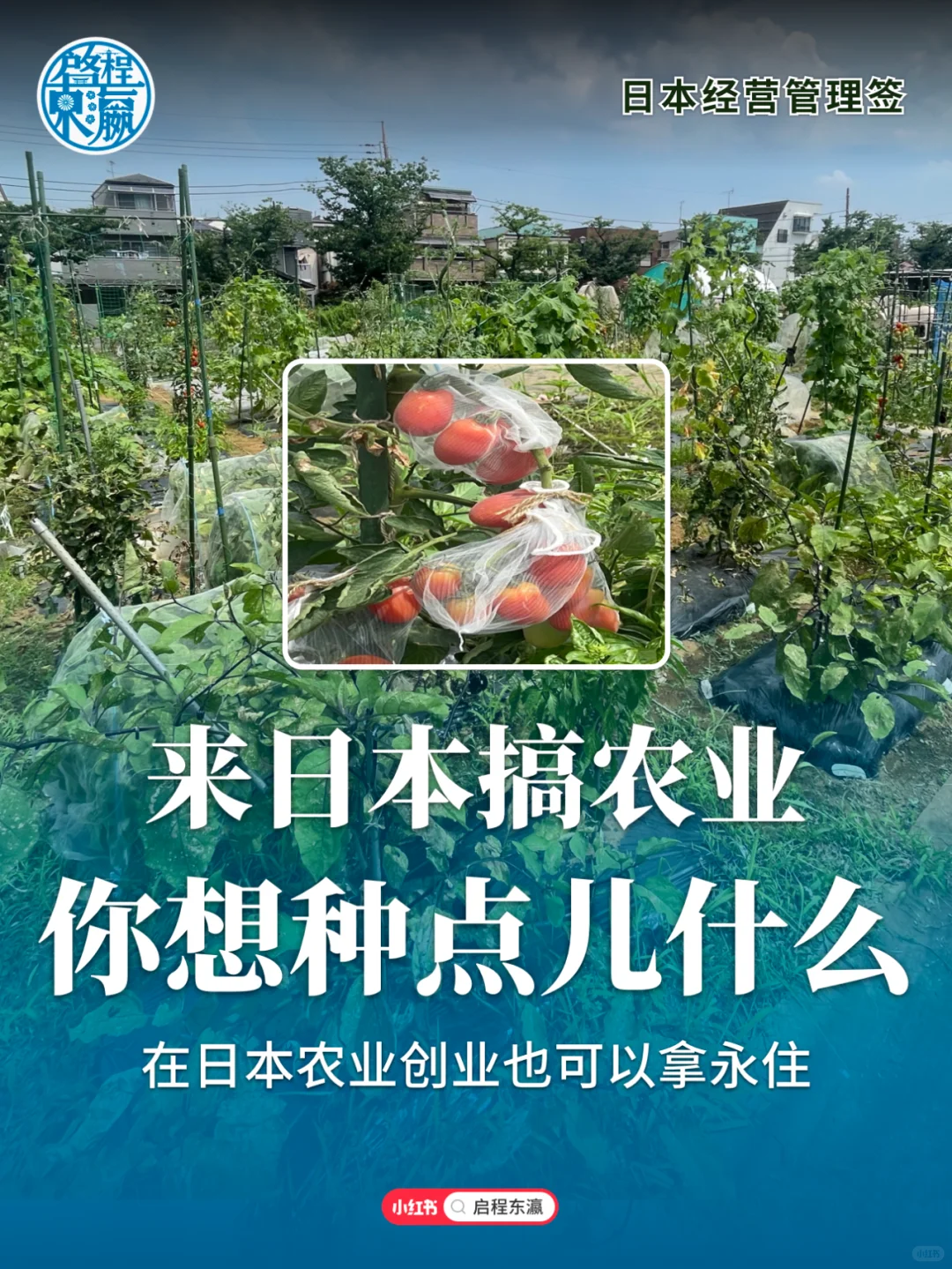 日本搞农业创业可以种什么，3条建议抢先看