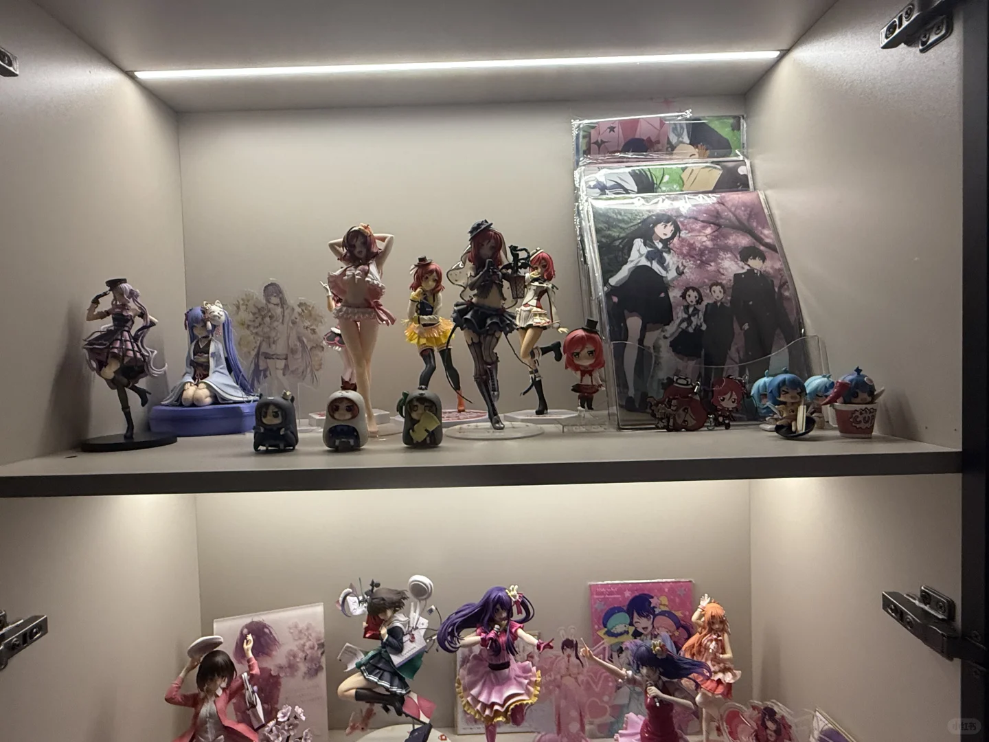 入宅10多年，终于拥有了我的手办柜