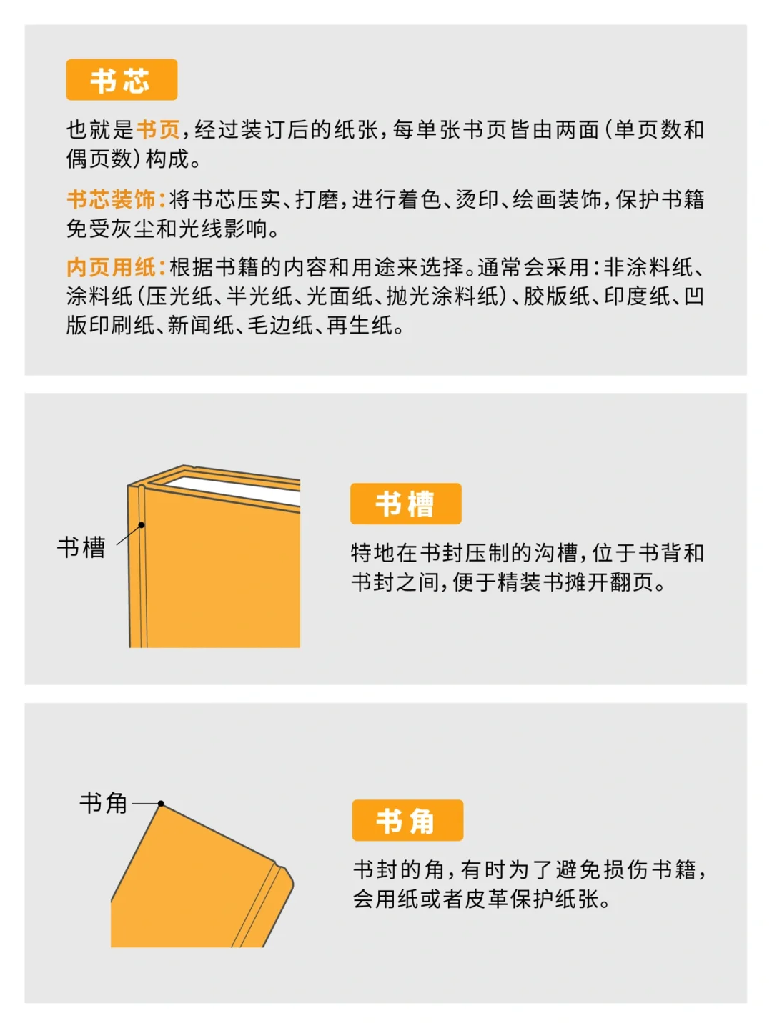 必看！这些书籍装帧结构让你的书更高级✨