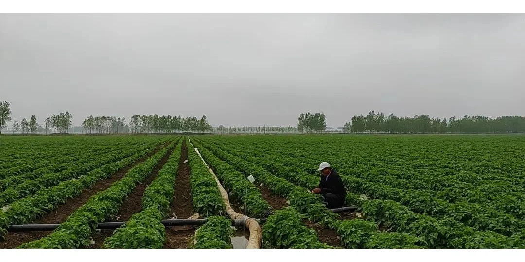 智能灌溉设备,帮助农户每月节省人工N万元!