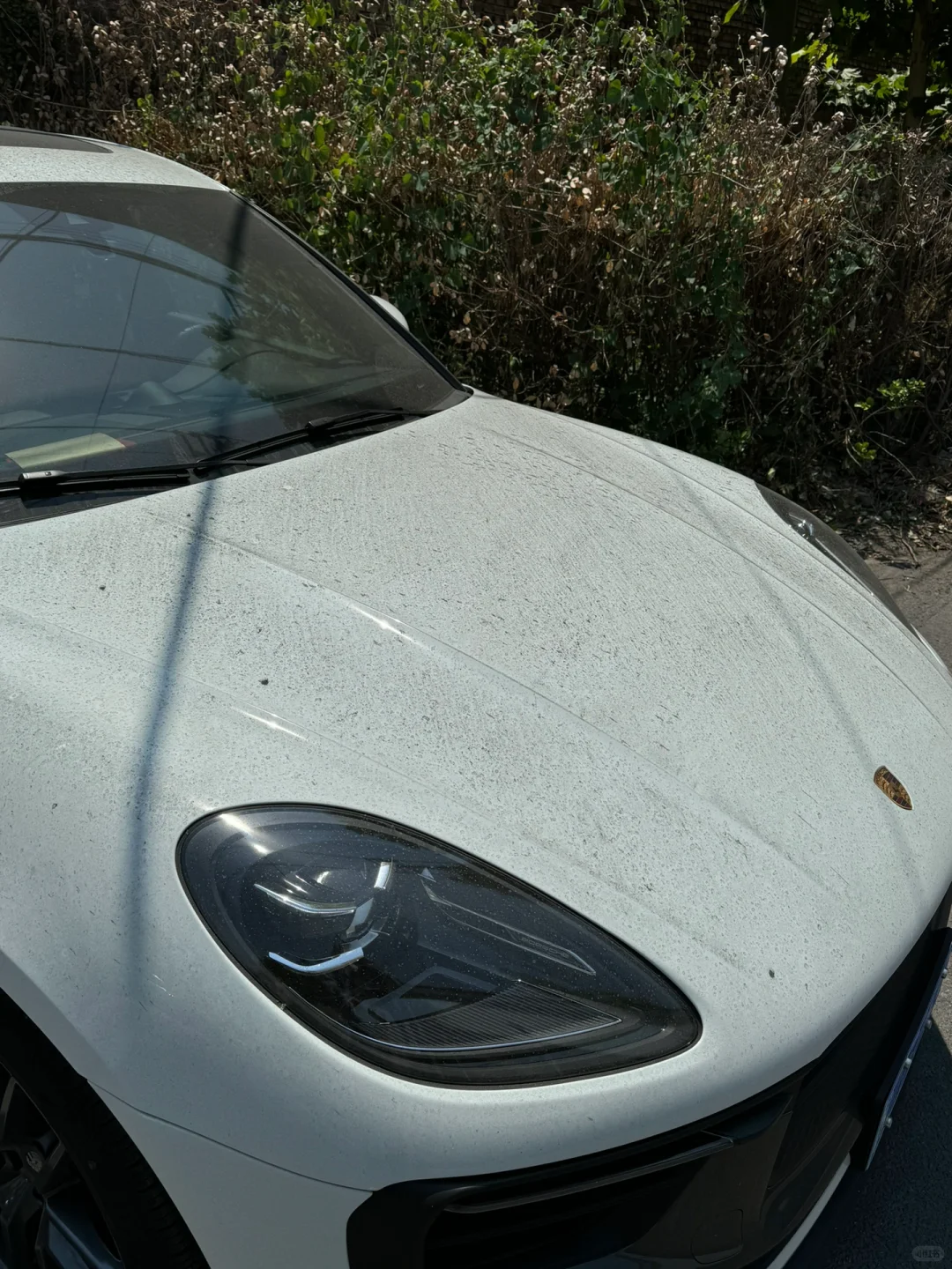 Plog｜00年在厂打工实录