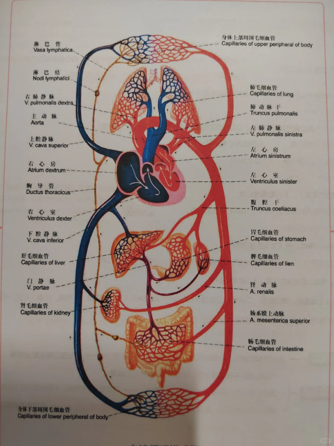 小猴云印真实测评