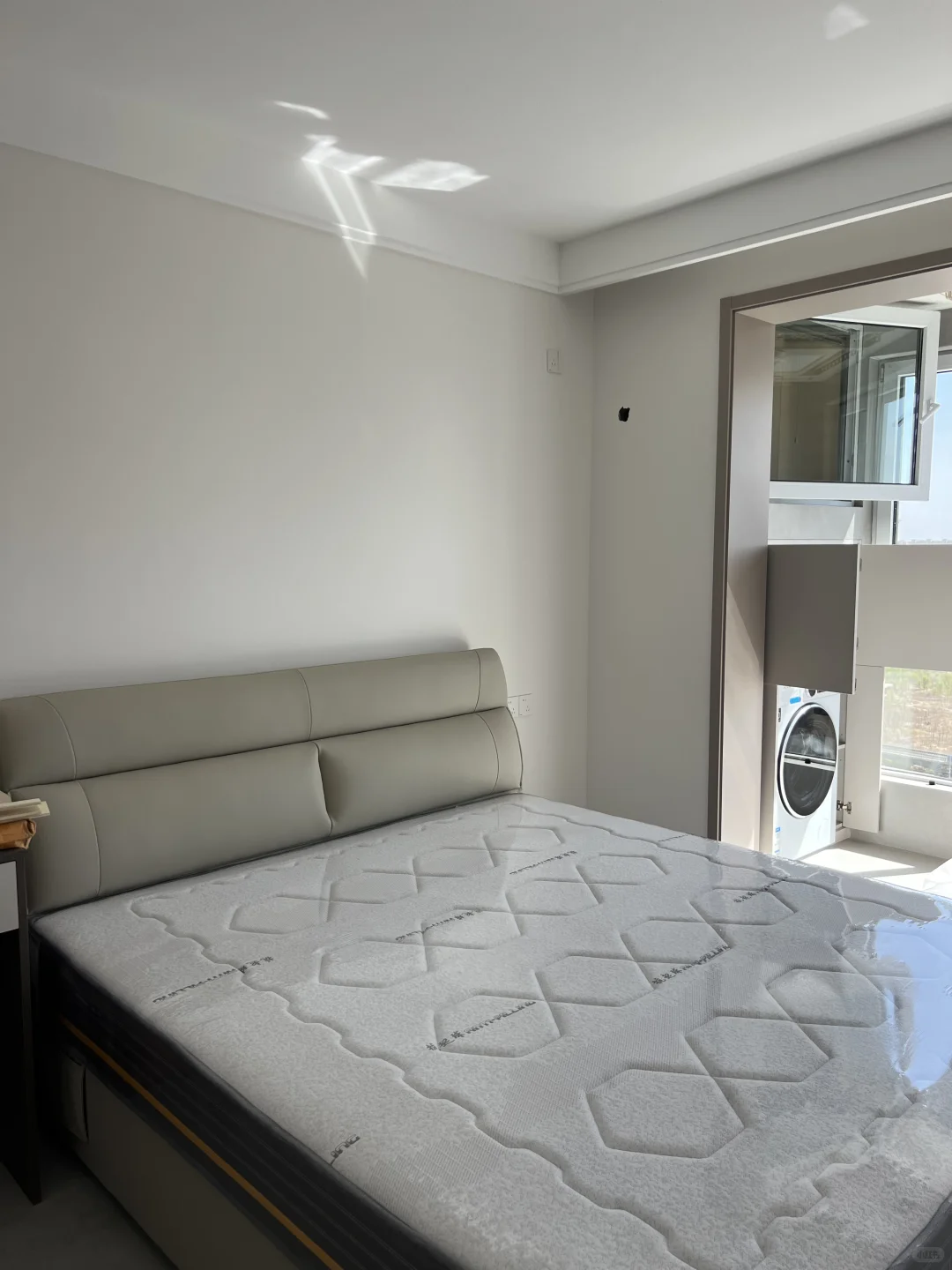 杏子灰?汝窑乳胶漆对比！无滤镜实拍