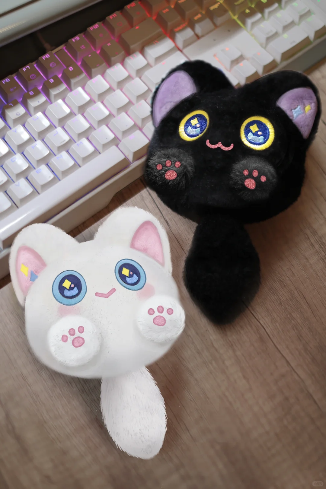 当当当当～有好消息要告诉大家！