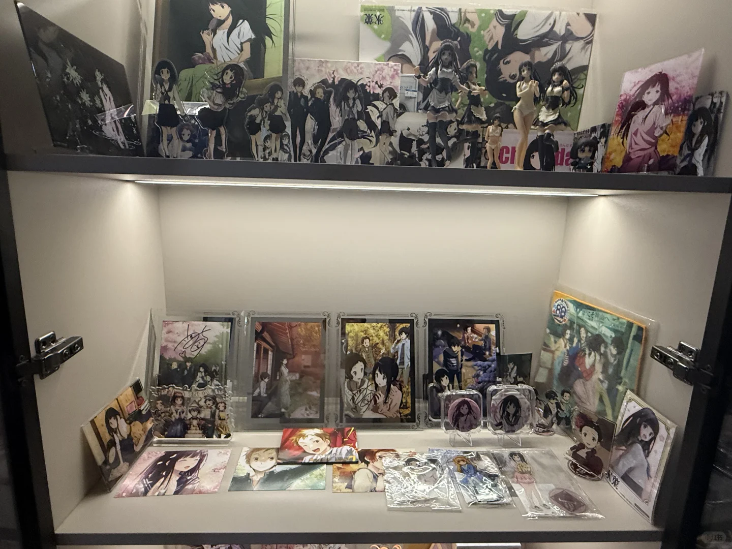 入宅10多年，终于拥有了我的手办柜