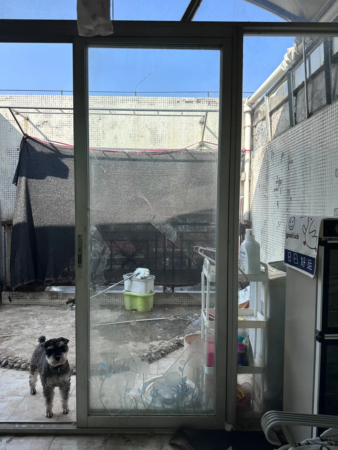 补一块玻璃这么贵嘛！1500！