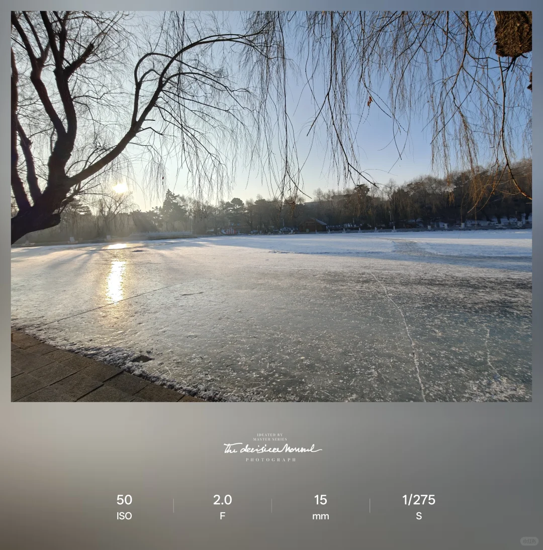 FERRAGAMO品牌糖画