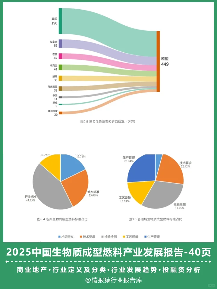 一篇报告洞察2025生物质成型燃料发展趋势