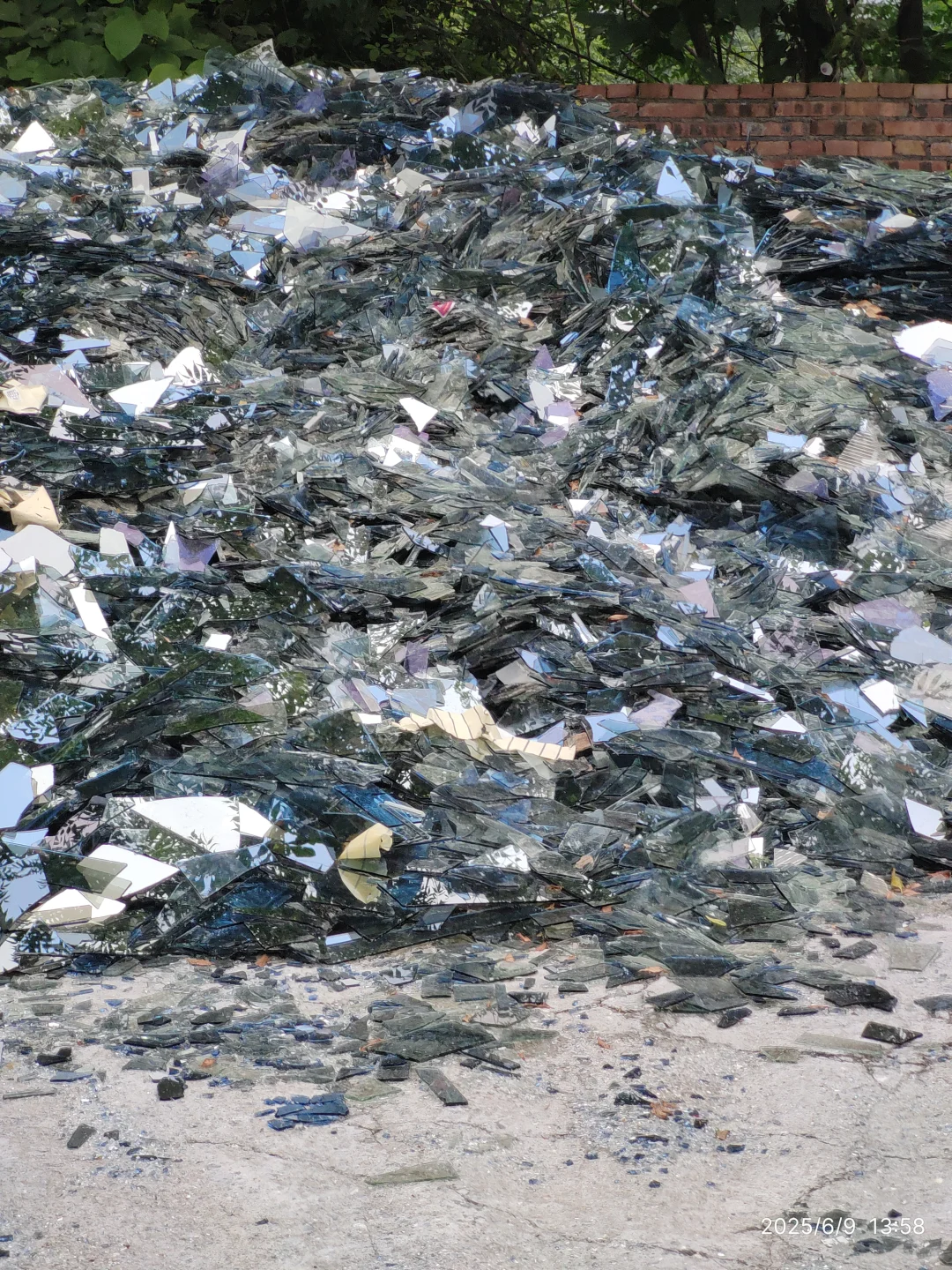 废弃塑料瓶的再生之旅～