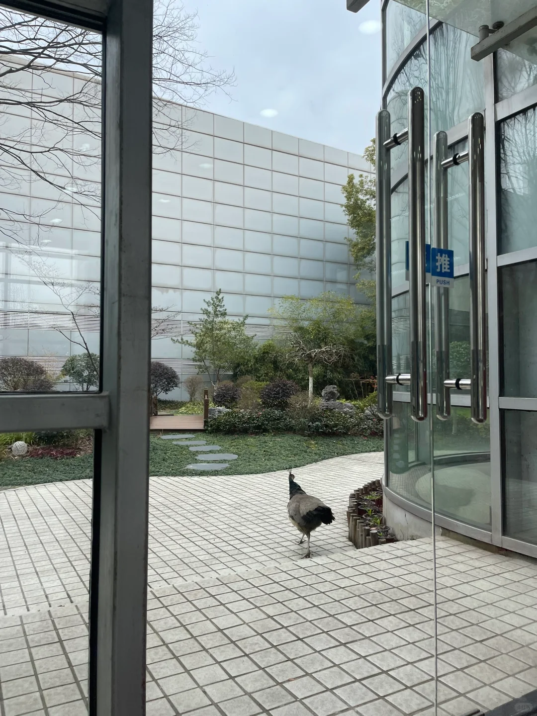 参观印刷厂，也是博物馆，在上海青浦