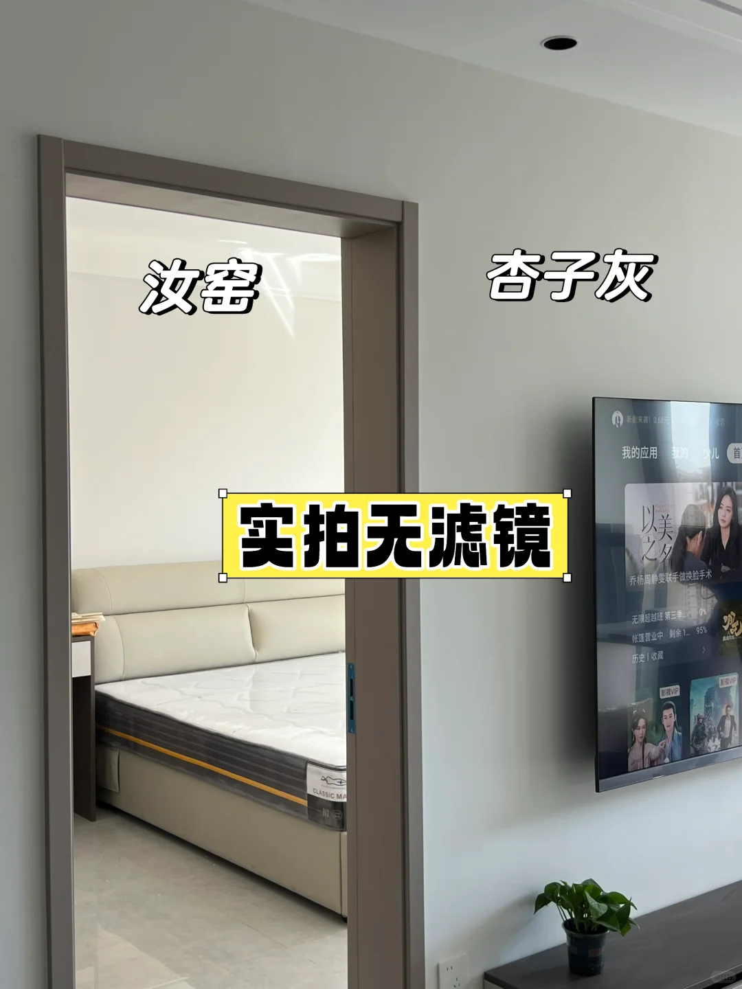 杏子灰?汝窑乳胶漆对比！无滤镜实拍