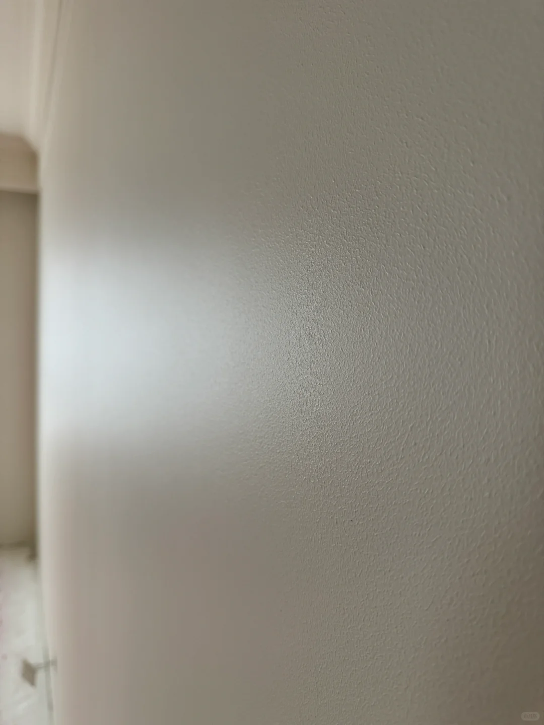 成年人不做选择！小羊皮和蛋壳光我都要！