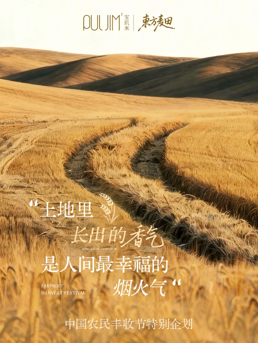 秋分|庆祝中国农民丰收节