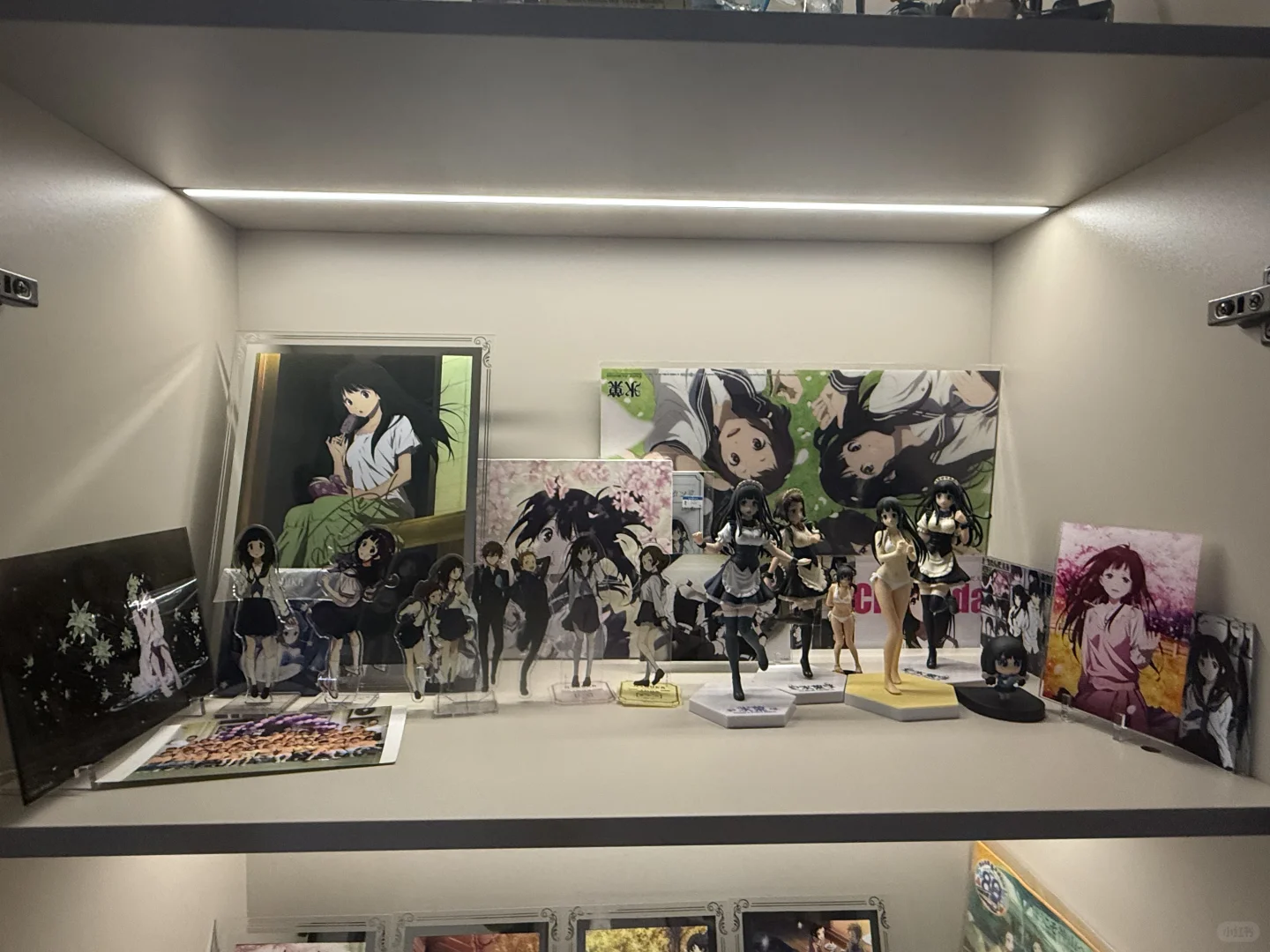 入宅10多年，终于拥有了我的手办柜