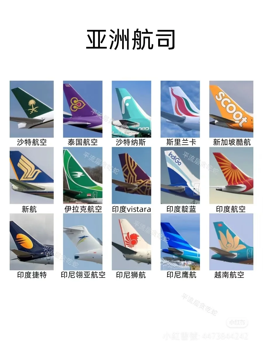 你认识这些吗？