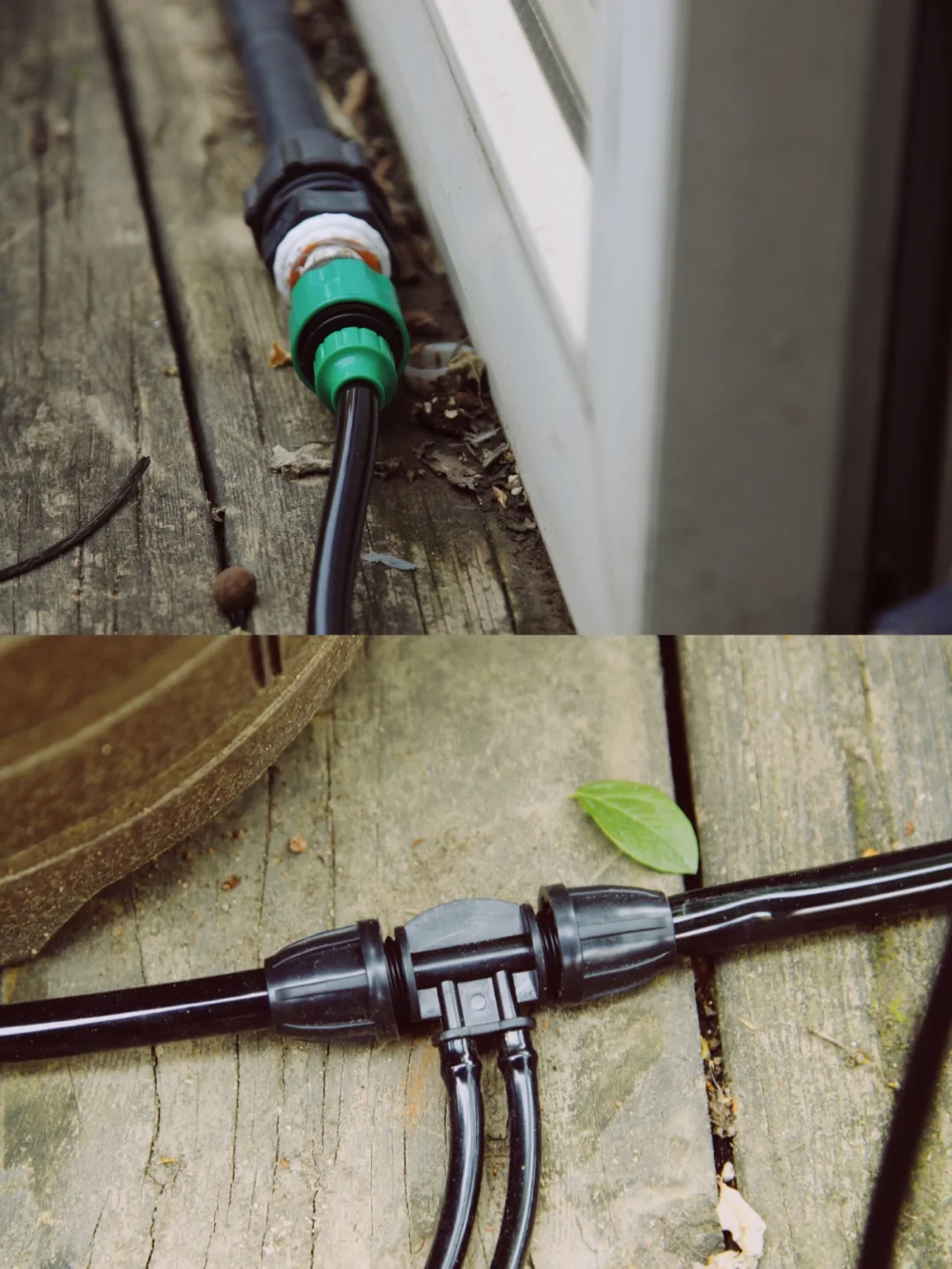 植物续命&解放双手-全自动滴灌系统DIY详解