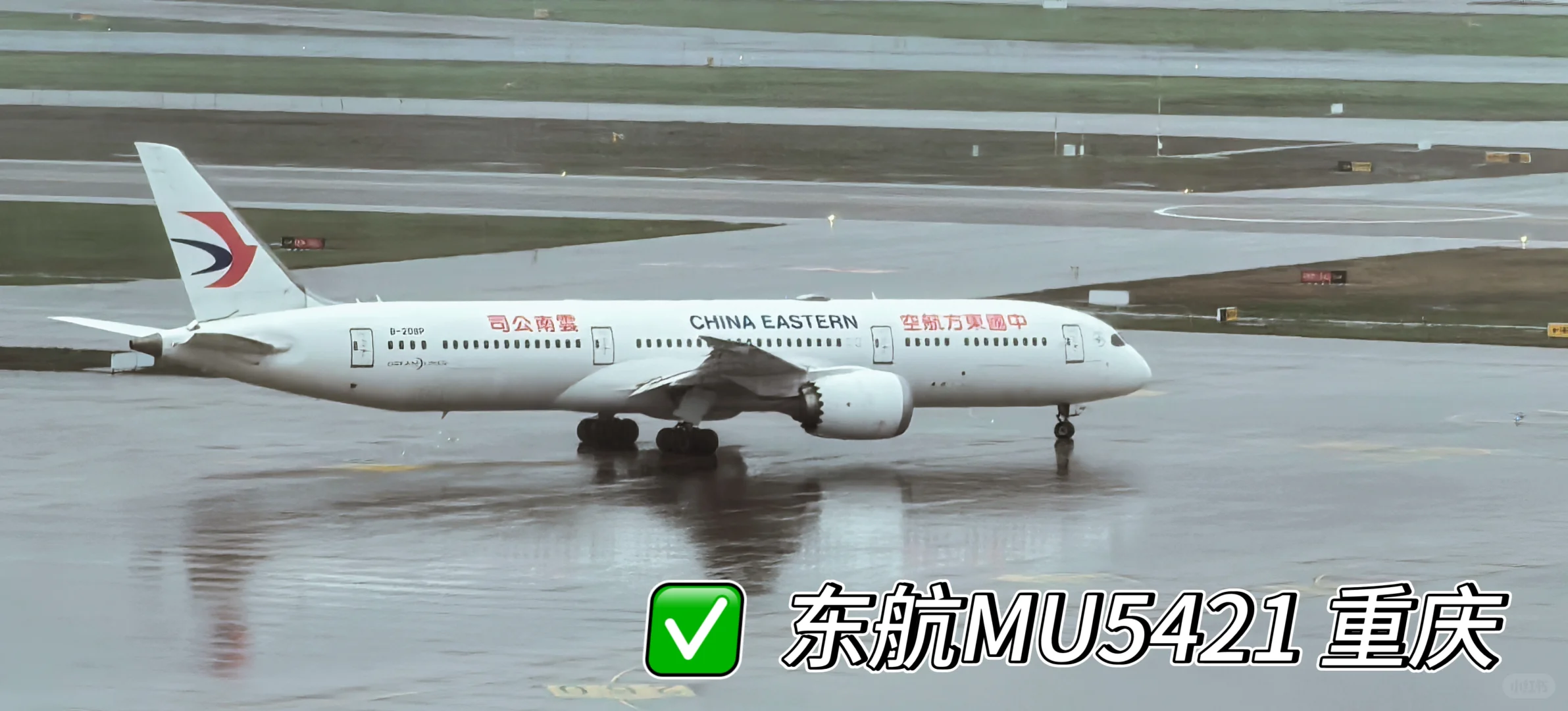 虹桥机场全景打卡 宽体机盛宴