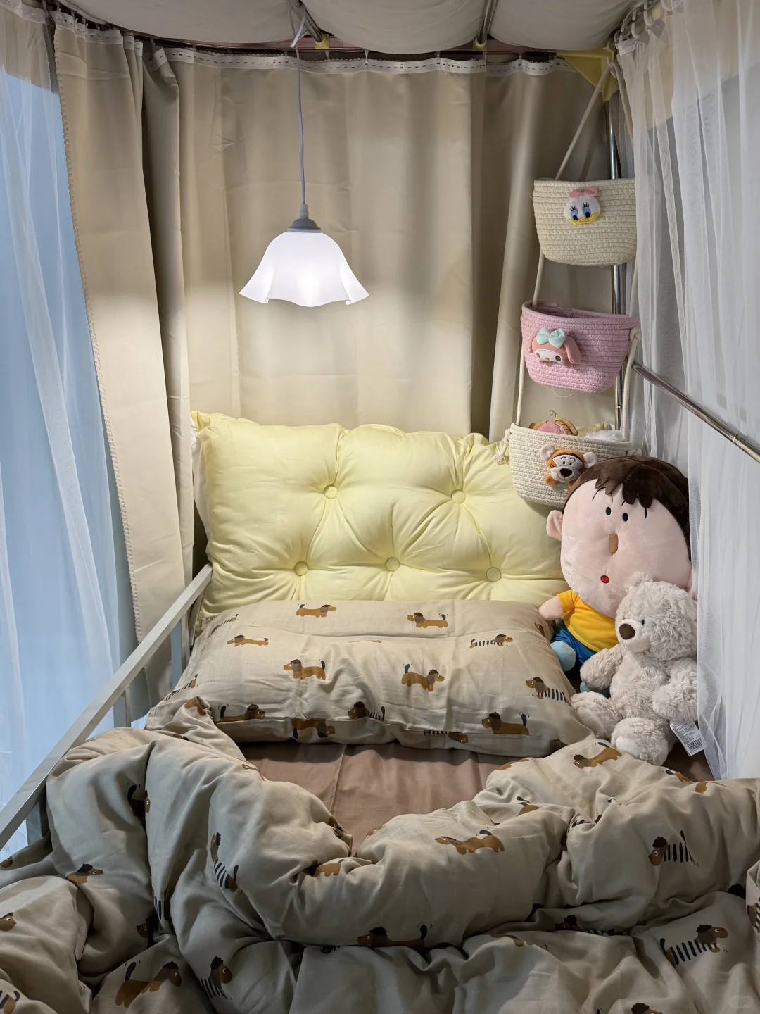 ✍️女大学生的超可爱玩偶分享?均价十几?