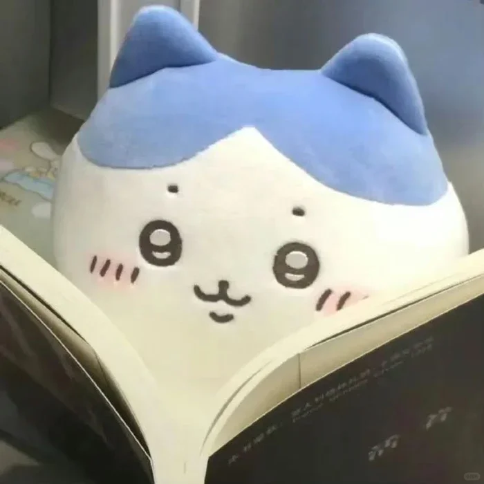 Chiikawa可爱玩偶头像来噜 太太萌啦