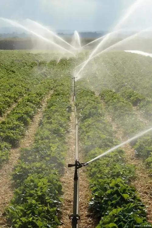 智慧水肥一体化控制系统