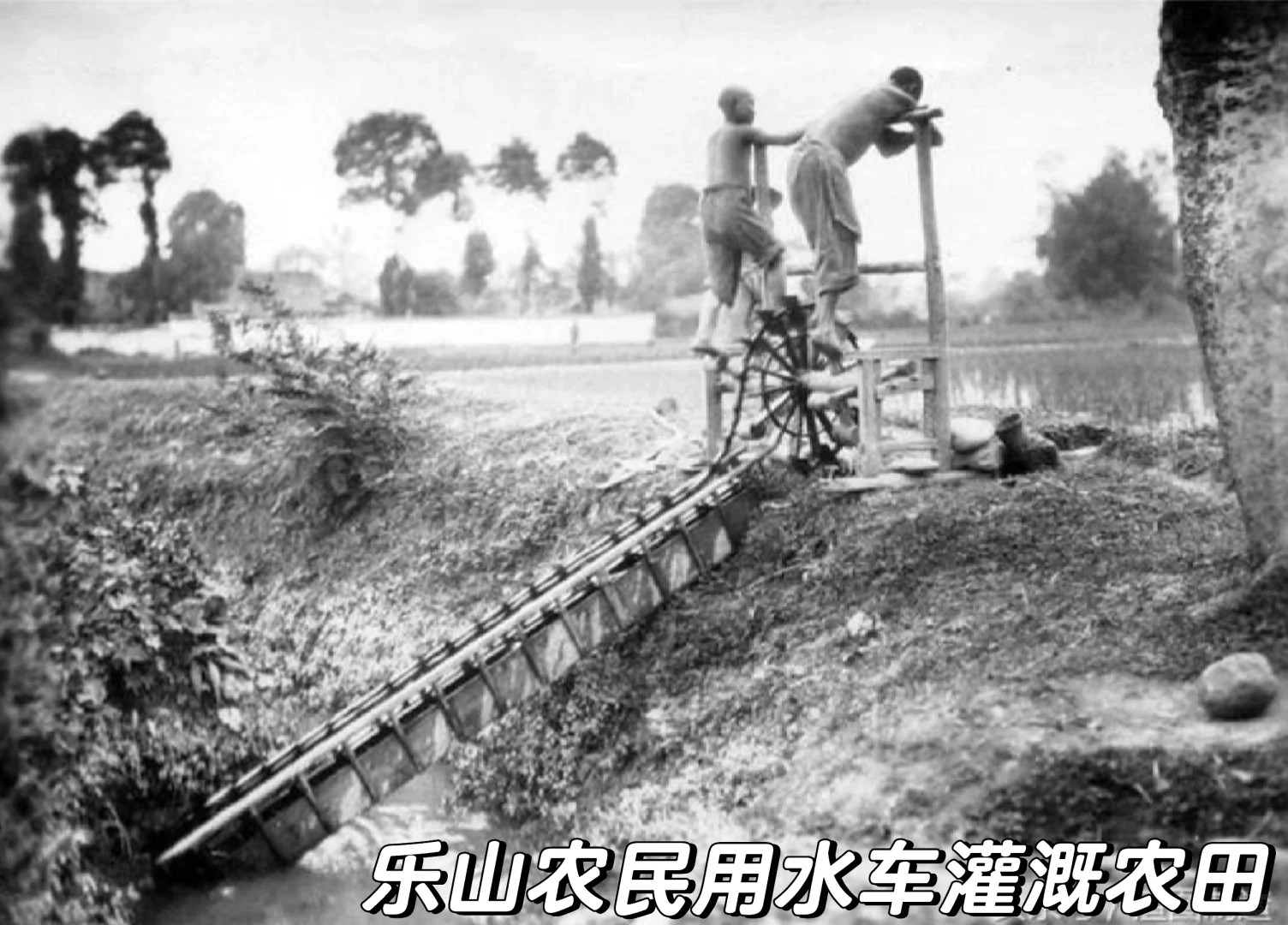 晚清至民国初年四川农村生活多元经济的交织