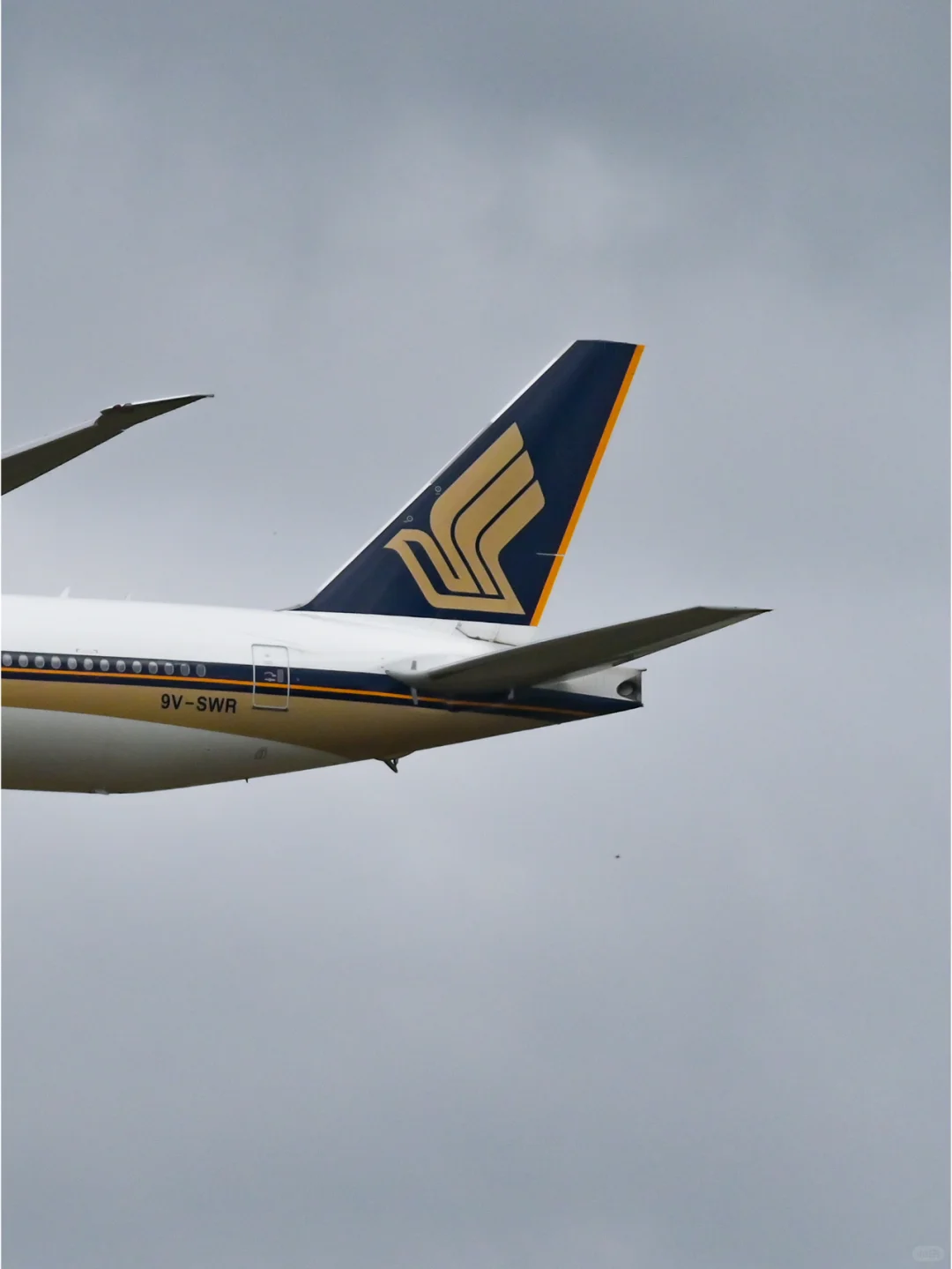 ??SGA现役宽体客机合集?❗