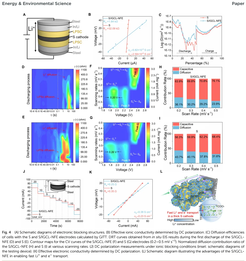 【锂硫】纳米流控效应的新型S/IGCL-NFE阴极