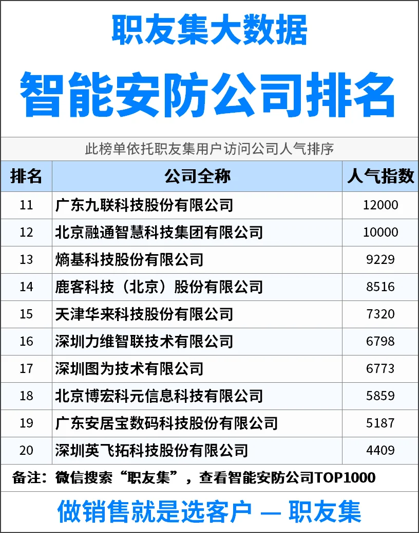 2025年中国‌‌‌智能安防公司排行榜