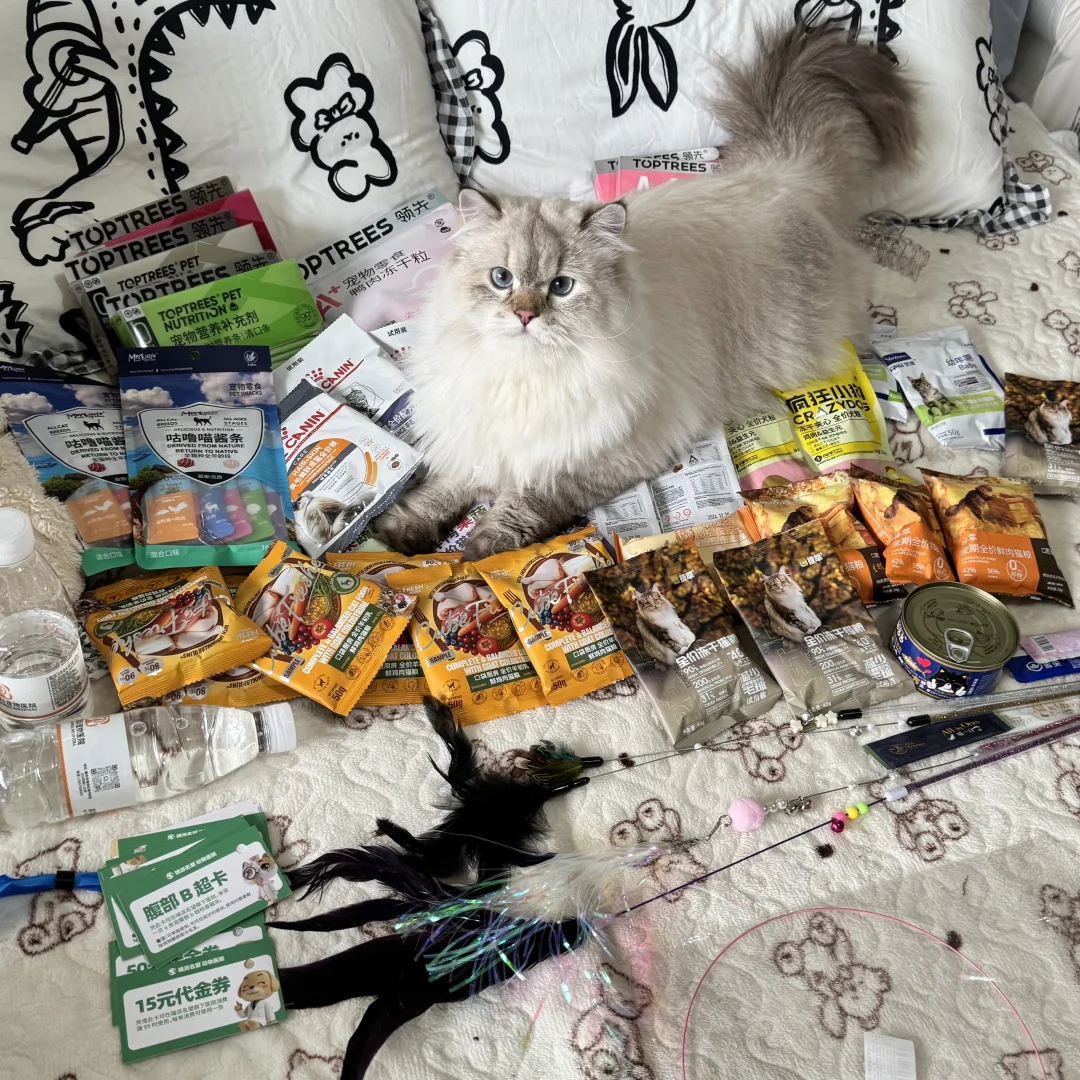 重庆宠物展薅羊毛攻略