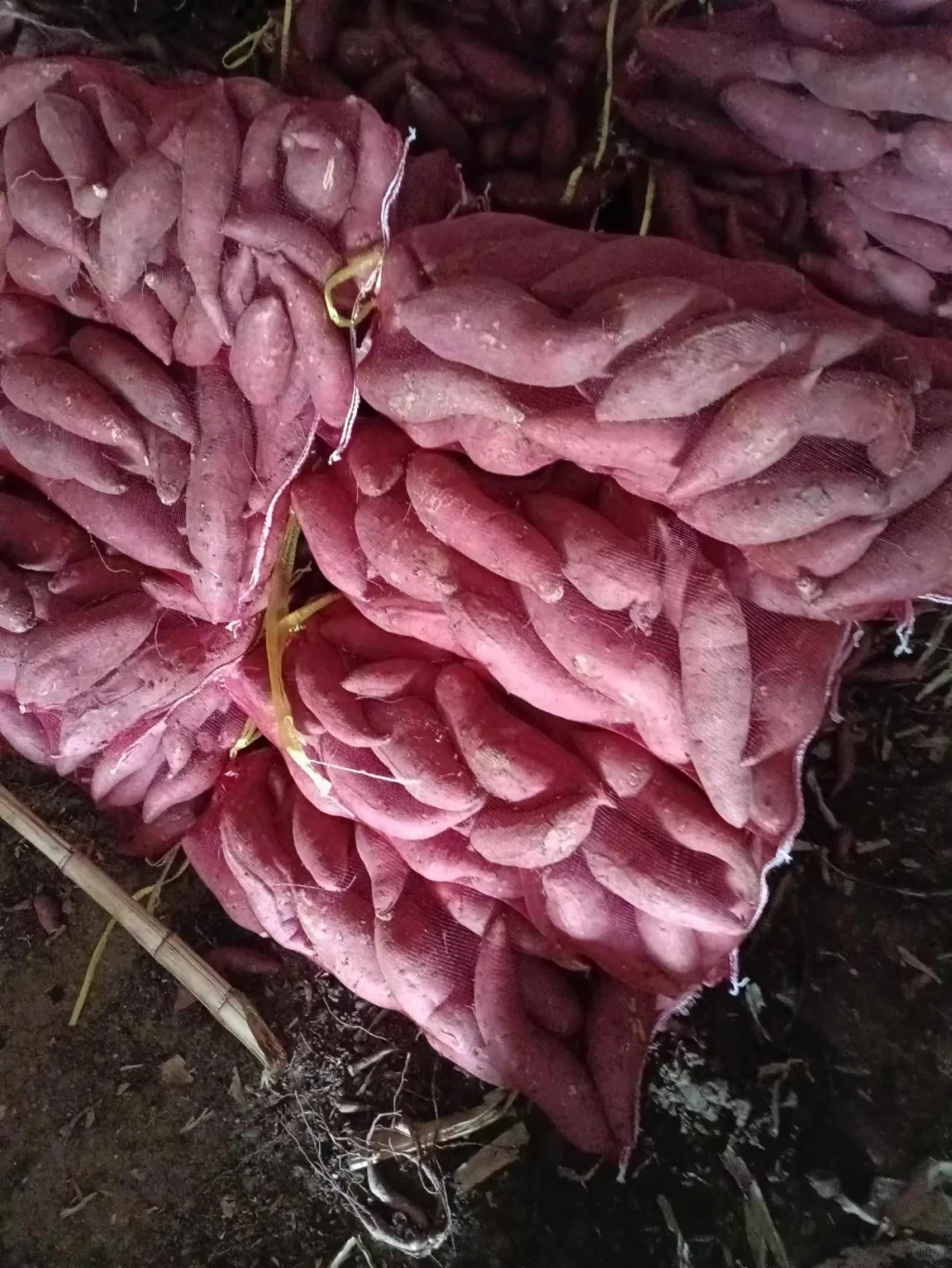 一个月帮爸妈卖掉了7000斤红薯,过程可复制